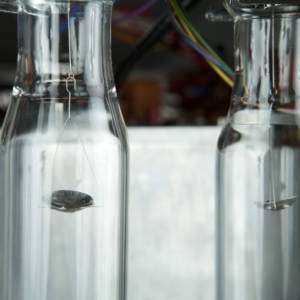 ThermoGravimetric Analysis Kit